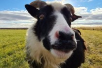 0B7980F7-E2B0-4F32-B7C1-6B96B2487BF5